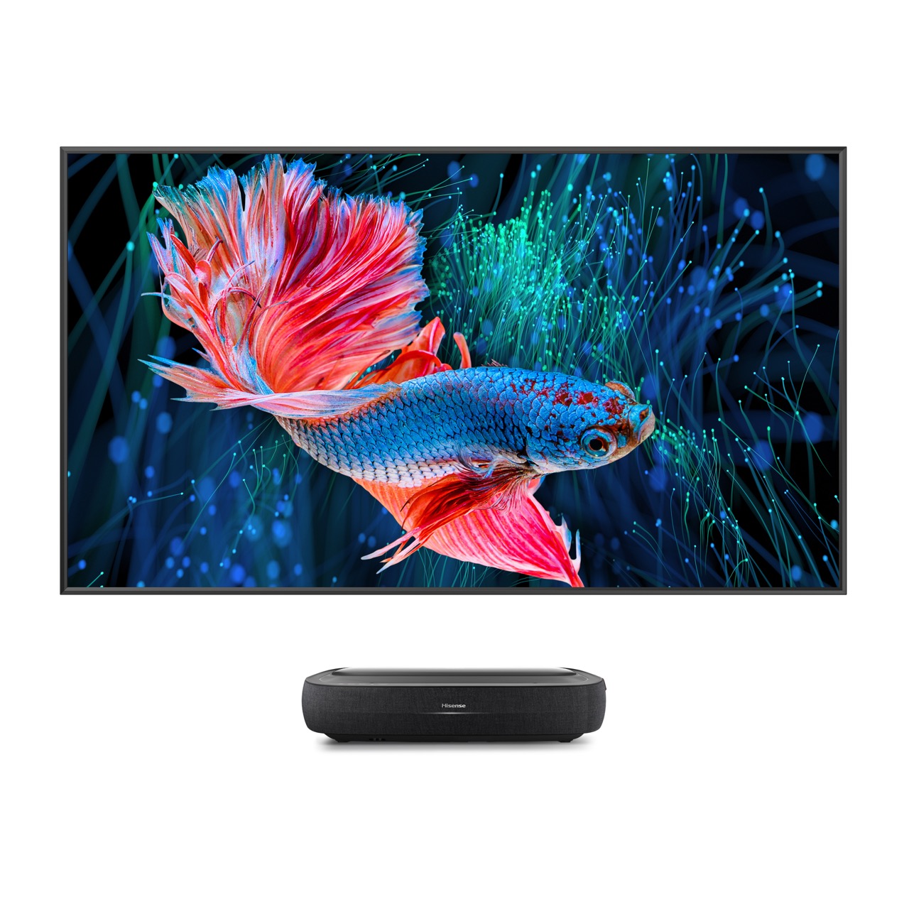 Hisense 100L9HD Laser TV + 100" ALR Daylight Screen 